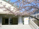 桜並木