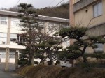 DSCF1069