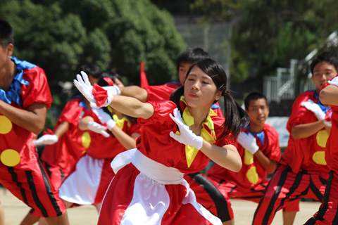 岡山県立笠岡商業高等学校 Blog Archive 体育祭 光る汗 勝利の女神は我らにあり 第2弾