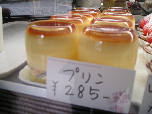 p1010048.jpg